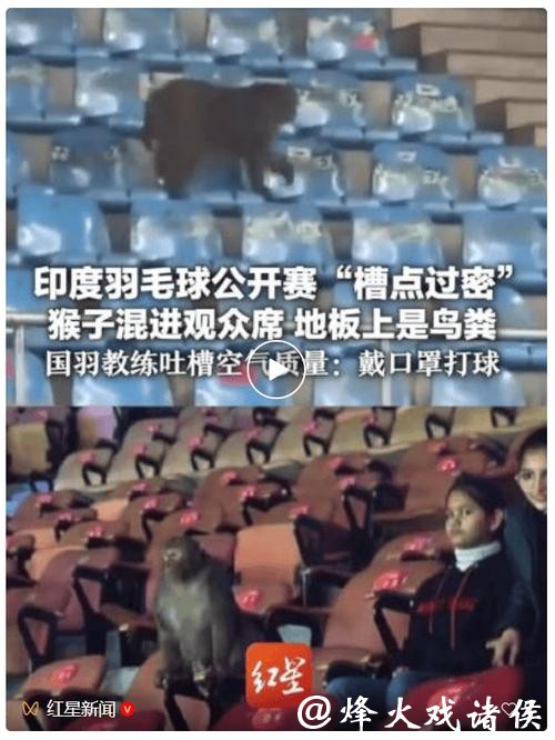 世界羽联回应印度公开赛猴子入场、落鸟粪等问题